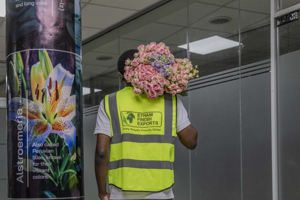 Spray Roses